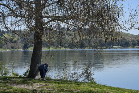 Enlarge photo 36
