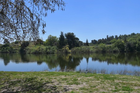 Enlarge photo 37