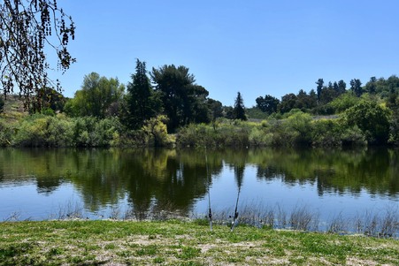 Enlarge photo 38