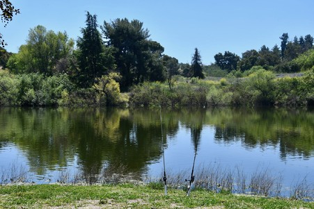 Enlarge photo 39