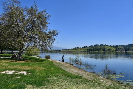 Enlarge photo 41
