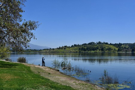 Enlarge photo 42