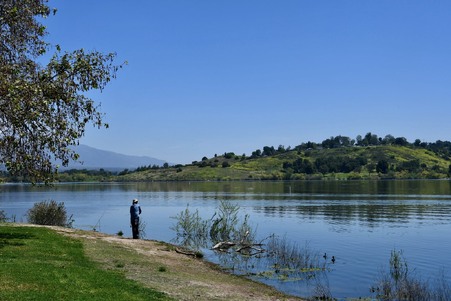 Enlarge photo 43