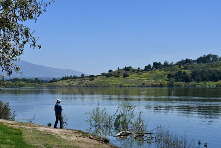 Enlarge photo 44