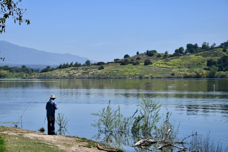 Enlarge photo 45