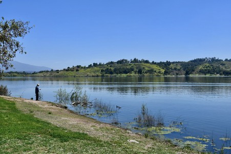 Enlarge photo 46