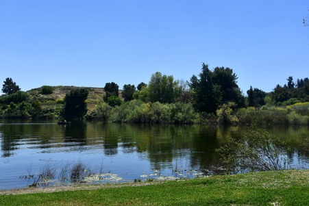 Enlarge photo 48