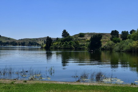 Enlarge photo 49