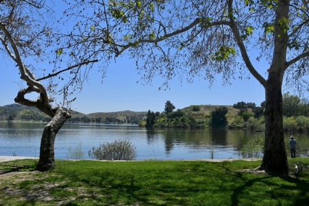 Enlarge photo 50