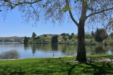 Enlarge photo 51