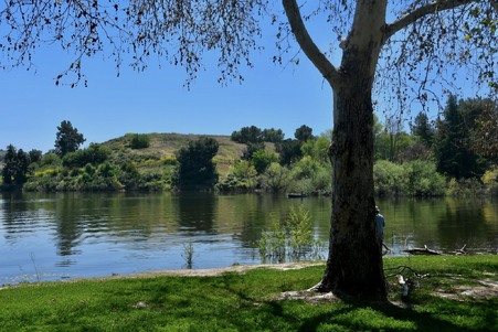 Enlarge photo 52