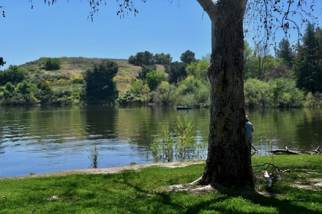Enlarge photo 53