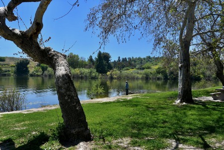 Enlarge photo 54