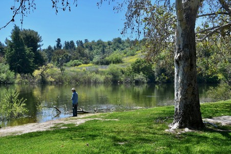 Enlarge photo 55