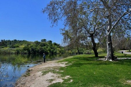 Enlarge photo 56