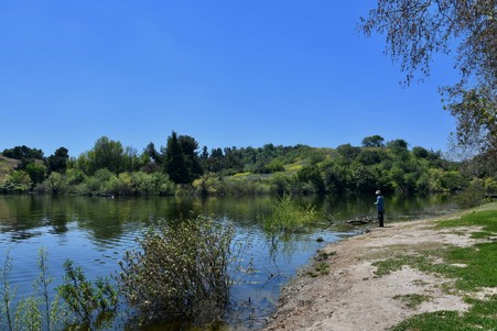 Enlarge photo 58