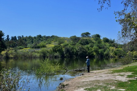 Enlarge photo 59