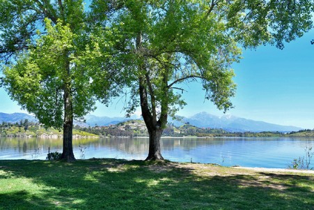 Enlarge photo 61