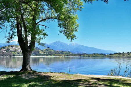 Enlarge photo 62