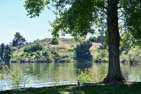 Enlarge photo 64