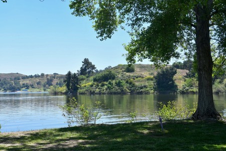 Enlarge photo 65