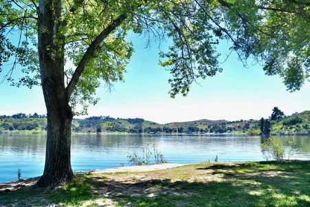 Enlarge photo 66