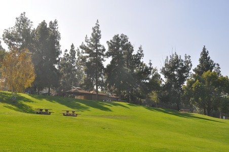 Enlarge photo 23