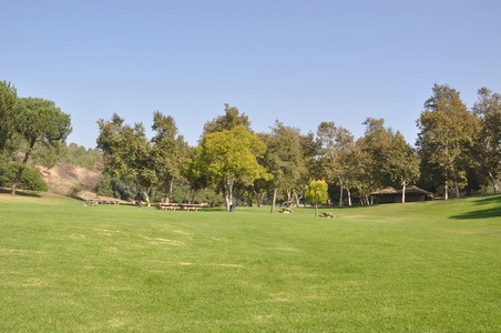 Enlarge photo 26