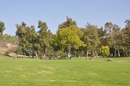 Enlarge photo 27