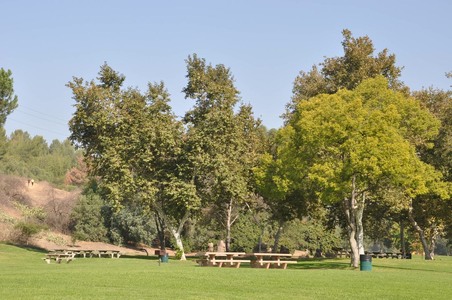Enlarge photo 28