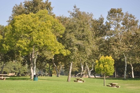 Enlarge photo 29