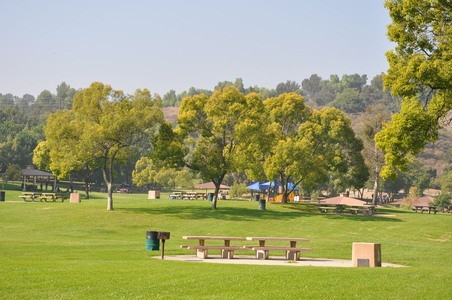 Enlarge photo 30