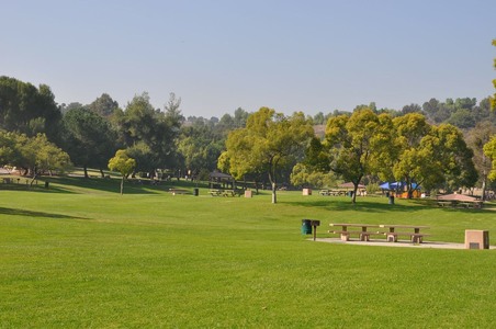 Enlarge photo 31