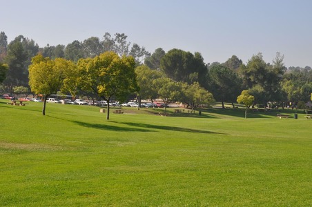 Enlarge photo 32