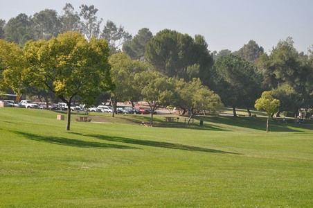 Enlarge photo 33