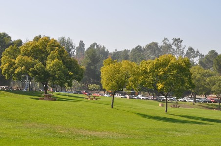 Enlarge photo 35