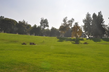 Enlarge photo 36