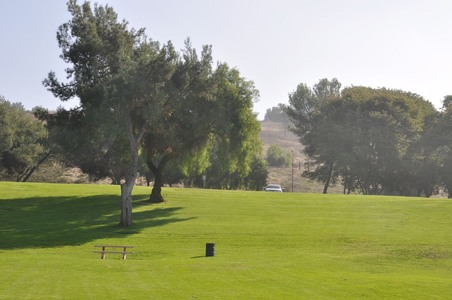 Enlarge photo 37