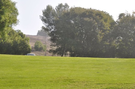 Enlarge photo 39