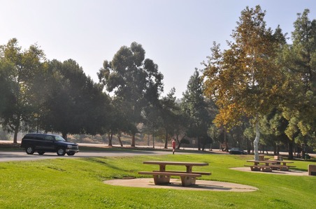 Enlarge photo 40