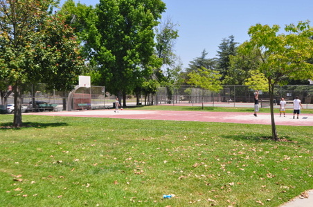 Enlarge photo 6