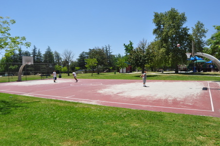 Enlarge photo 15