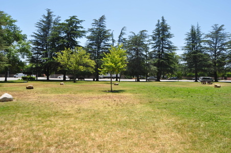 Enlarge photo 16