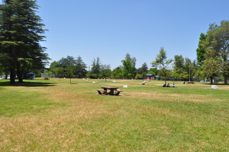 Enlarge photo 18