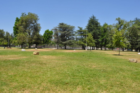 Enlarge photo 19