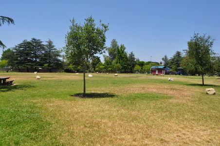 Enlarge photo 20