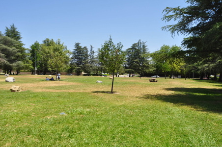 Enlarge photo 22