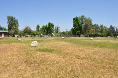 Enlarge photo 24