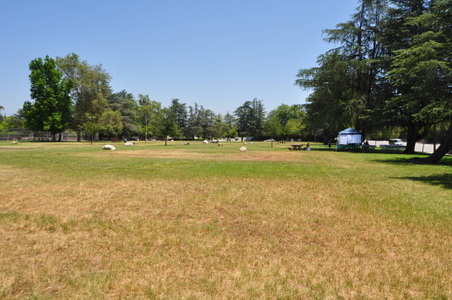 Enlarge photo 25