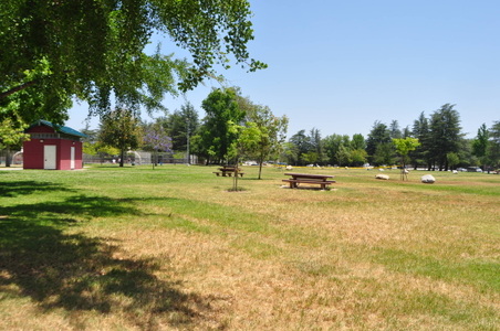 Enlarge photo 27
